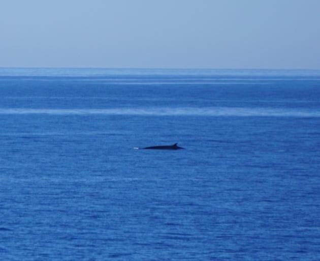 Paz Del Mar Βίλα Charco del Palo Εξωτερικό φωτογραφία